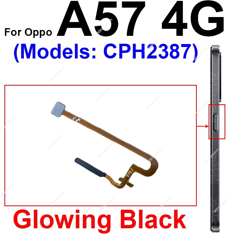 Fingerprint Sensor Flex Cable  - Fingerprint Cable Flex ulasan dan harga